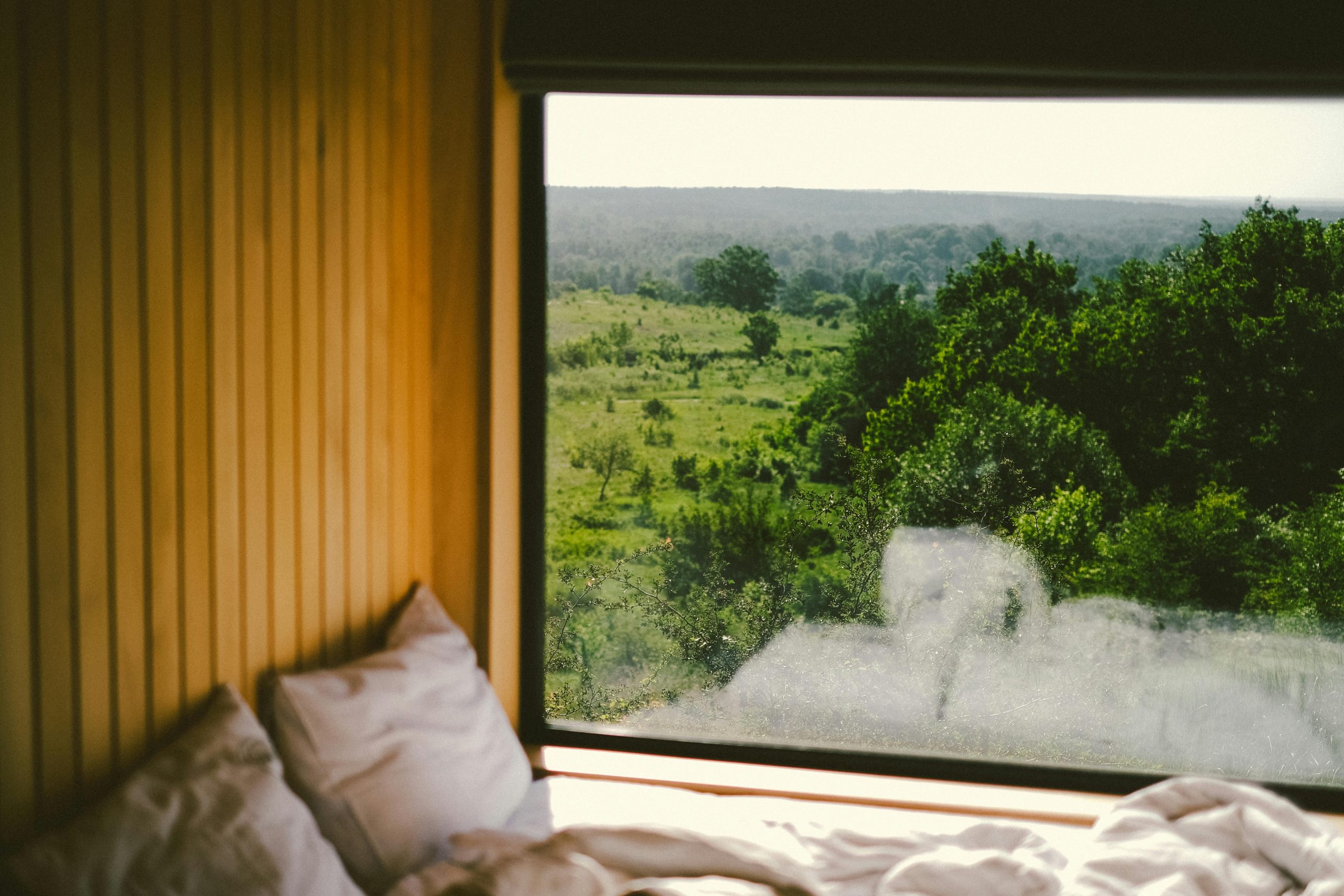 Relax in a comfy cabin with a beautiful forest view through the window in Poltava Oblast, Ukraine.